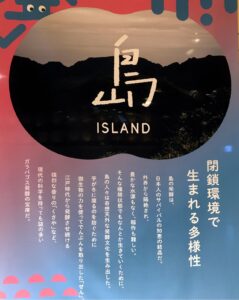 渋谷ヒカリエ　発酵ツーリズム展