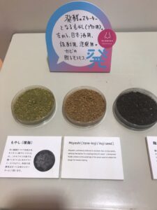 渋谷ヒカリエ　発酵ツーリズム展